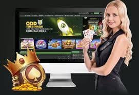 Bangladesh adult reviewing dk666 live casino privacy settings on mobile